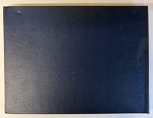 Original 1966 Chrysler Color and Trim Selector