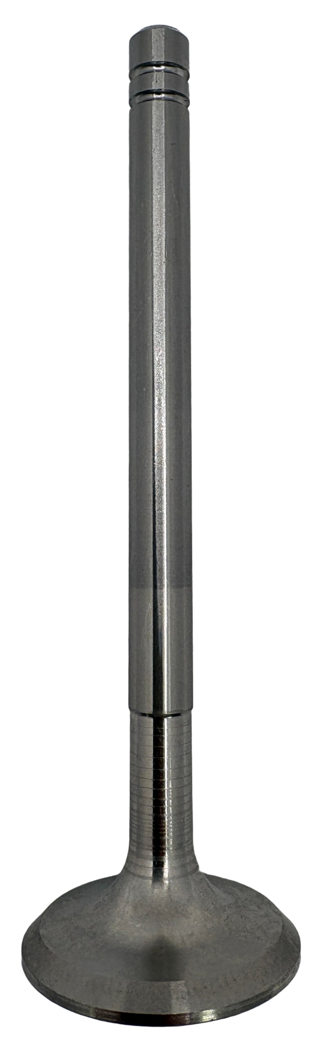 Exhaust Valve